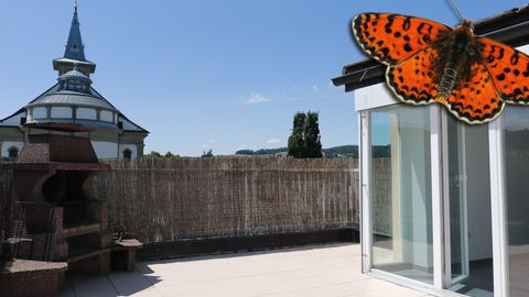 3 ½  PIÈCES - Avec une terrasse de 30 m² !
