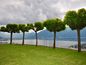 5-Zimmerwohnung mit atemberaubendem Blick auf den Lago Maggiore