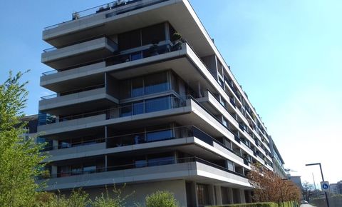 Genève Centre - Bel appartement traversant de standing